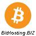 Bithosting logo quadrat bigger.JPG